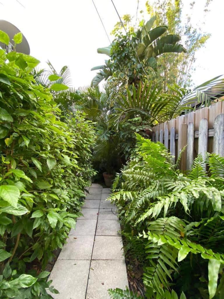Delight And Cozy Apt Close To Las Olas & The Beach Φορτ Λόντερντεϊλ Εξωτερικό φωτογραφία