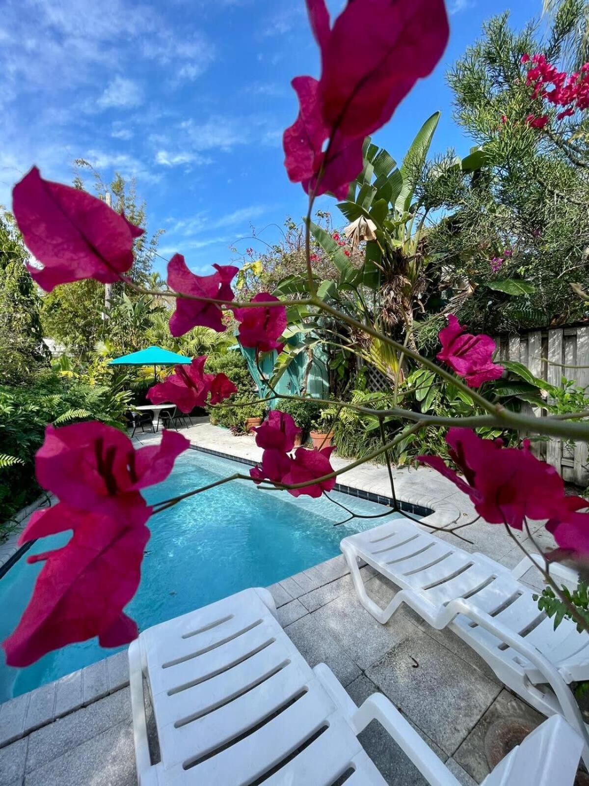 Delight And Cozy Apt Close To Las Olas & The Beach Βίλα Φορτ Λόντερντεϊλ Εξωτερικό φωτογραφία