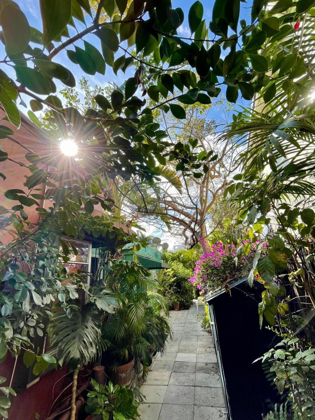 Delight And Cozy Apt Close To Las Olas & The Beach Φορτ Λόντερντεϊλ Εξωτερικό φωτογραφία